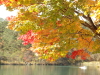 img0017.jpg