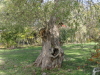 img0023.jpg