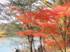 img0026.jpg