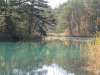 img0035.jpg
