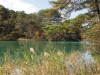 img0037.jpg