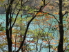 img0041.jpg