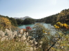 img0045.jpg