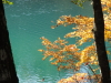 img0050.jpg