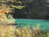 img0055.jpg