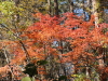 img0056.jpg