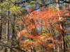 img0057.jpg