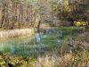img0062.jpg