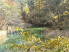 img0064.jpg