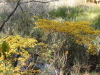 img0068.jpg