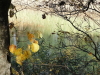 img0070.jpg