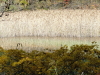 img0071.jpg