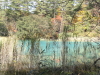 img0079.jpg