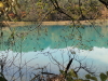 img0082.jpg