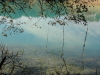 img0086.jpg