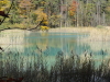 img0093.jpg