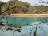 img0095.jpg