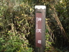 img0098.jpg