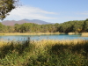 img0099.jpg