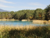 img0102.jpg