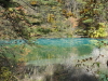 img0110.jpg