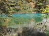 img0111.jpg