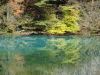 img0116.jpg