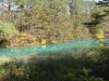 img0118.jpg