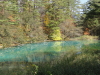 img0121.jpg