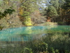 img0123.jpg