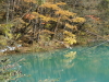 img0128.jpg