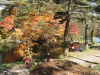 img0139.jpg