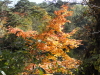 img0148.jpg