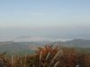 img0175.jpg