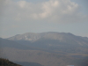 img0180.jpg