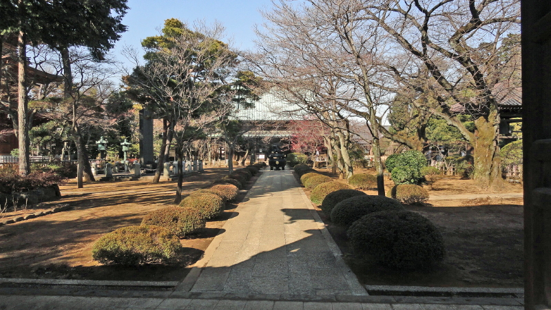 img0003.jpg