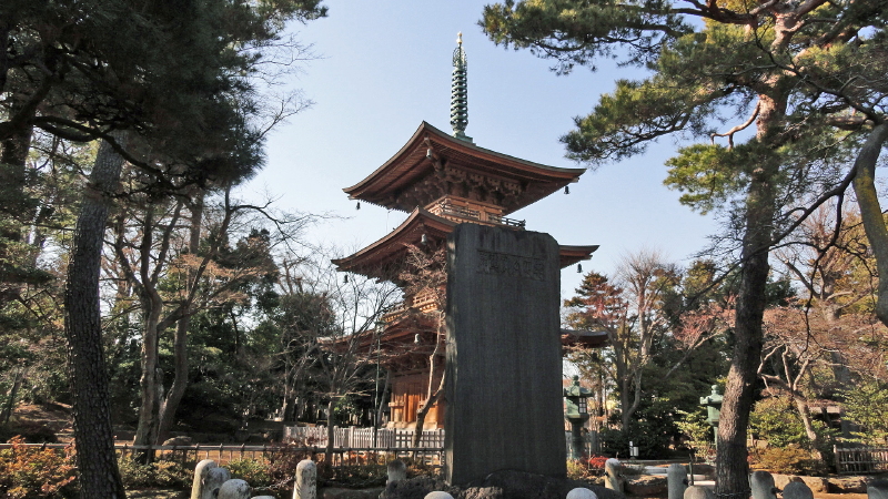 img0004.jpg