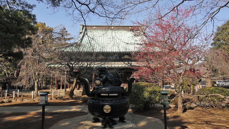 img0005.jpg