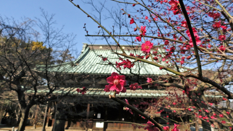 img0006.jpg
