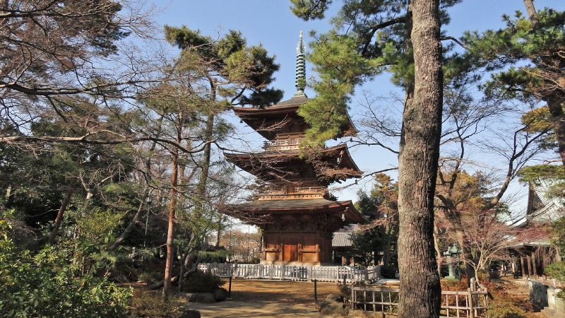 img0010.jpg