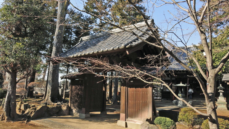 img0015.jpg