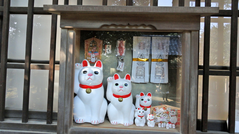 img0018.jpg