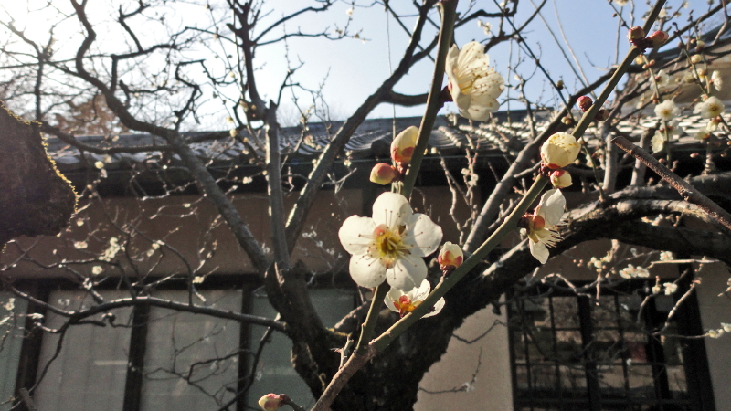 img0032.jpg