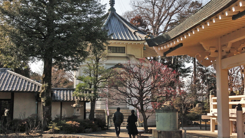 img0035.jpg
