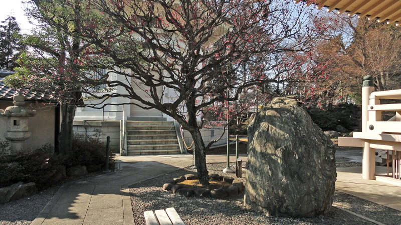 img0038.jpg