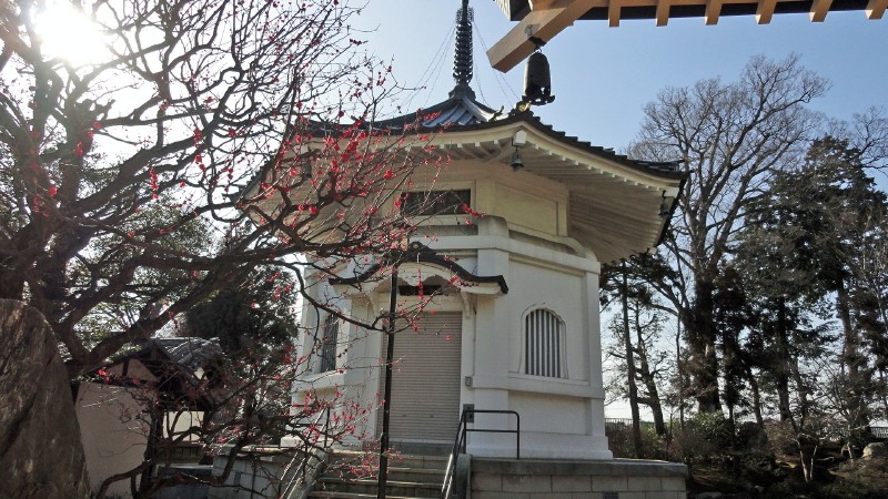 img0039.jpg