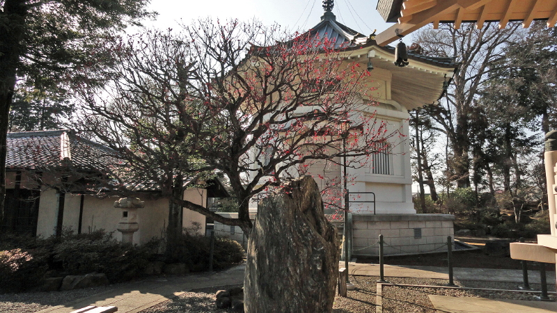 img0040.jpg