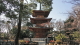 img0007.jpg