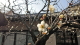 img0032.jpg