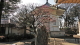 img0040.jpg